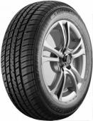 Fortune FSR301 215/65 R16 102H XL